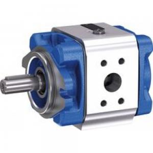Bosch Rexorth Gear pump PGM4-4X/020RA11VU2 R901363095 Rexroth