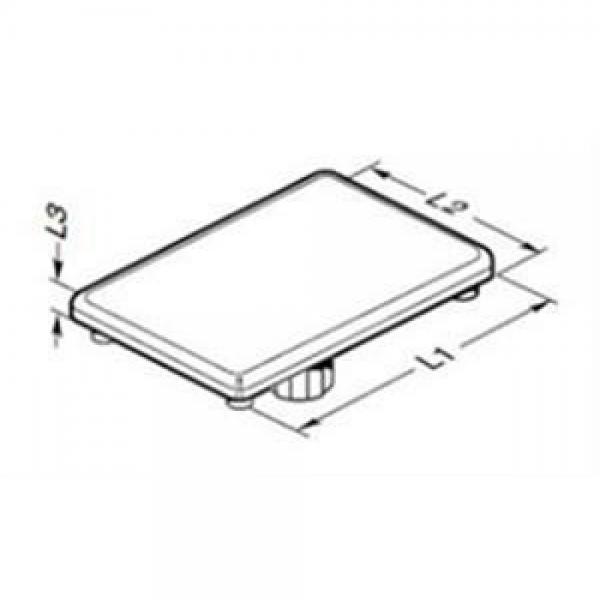 Bosch Rexroth 3842548745, End Cap 30X30,ESD 3842548745 Rexroth