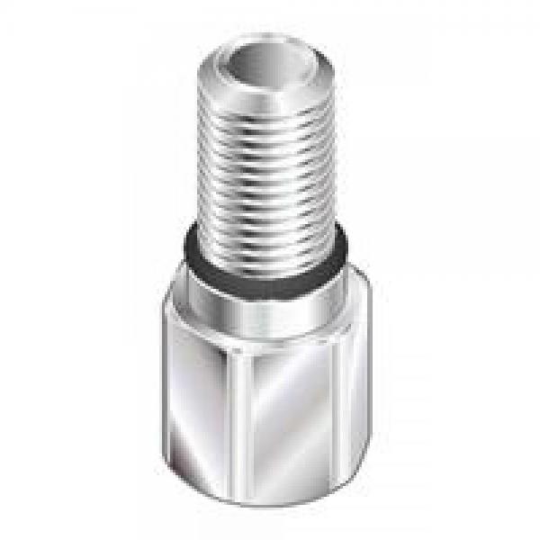 Bosch Rexroth 3842535719, Threaded Connectio M12/1/4″ 3842535719 Rexroth